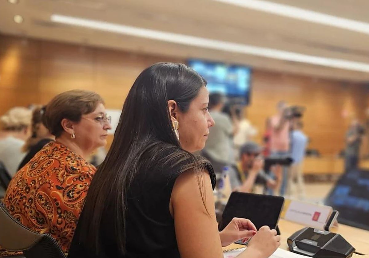 La consejera de Bienestar Social, Bárbara García Torijano