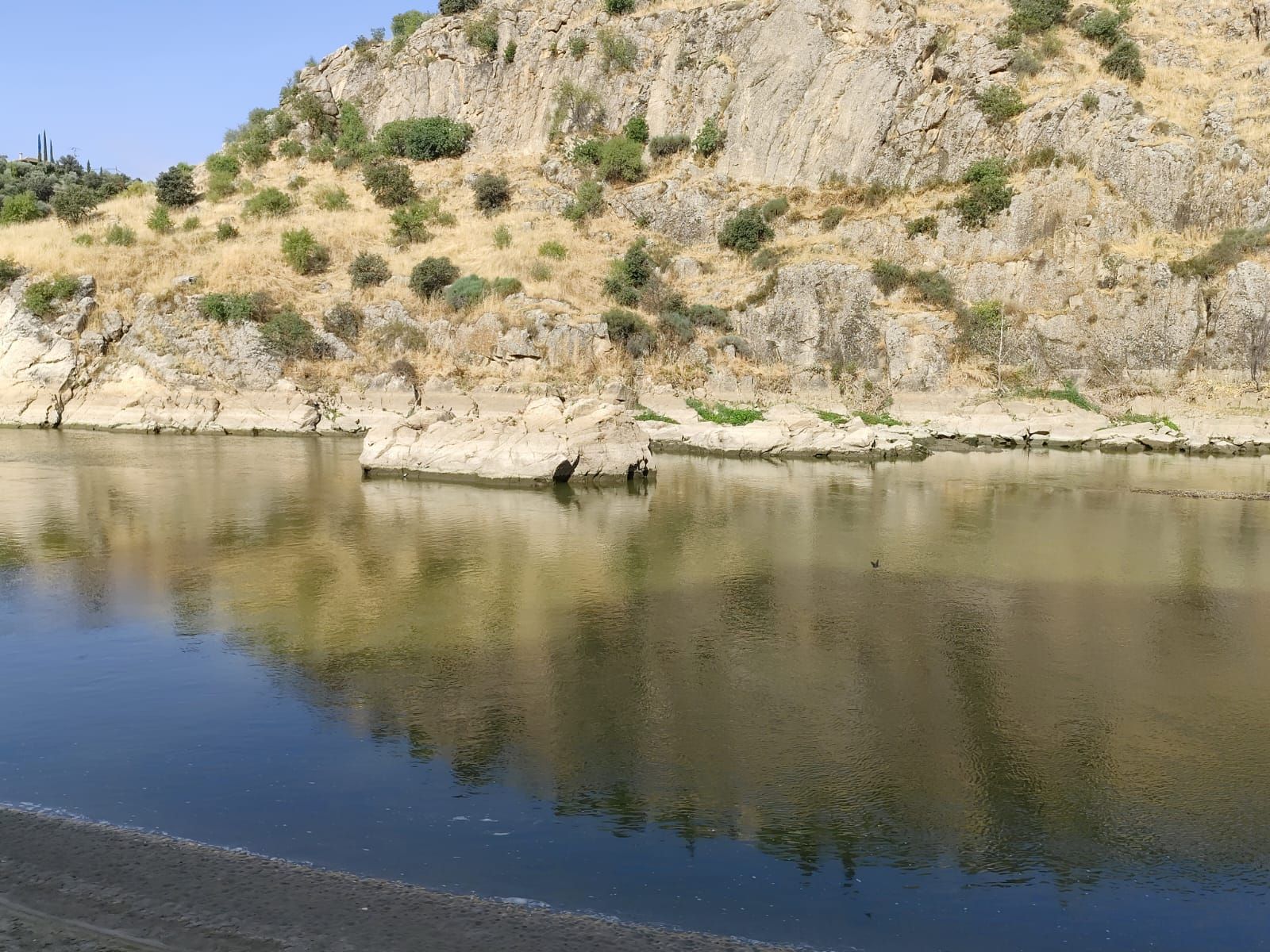 Las imágenes de la espectacular bajada del caudal del Tajo a su paso por Toledo