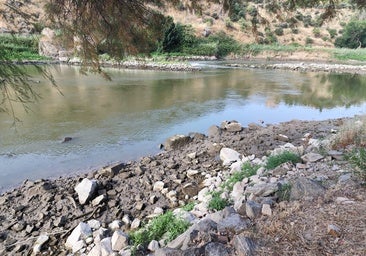 Las imágenes de la espectacular bajada del caudal del Tajo a su paso por Toledo