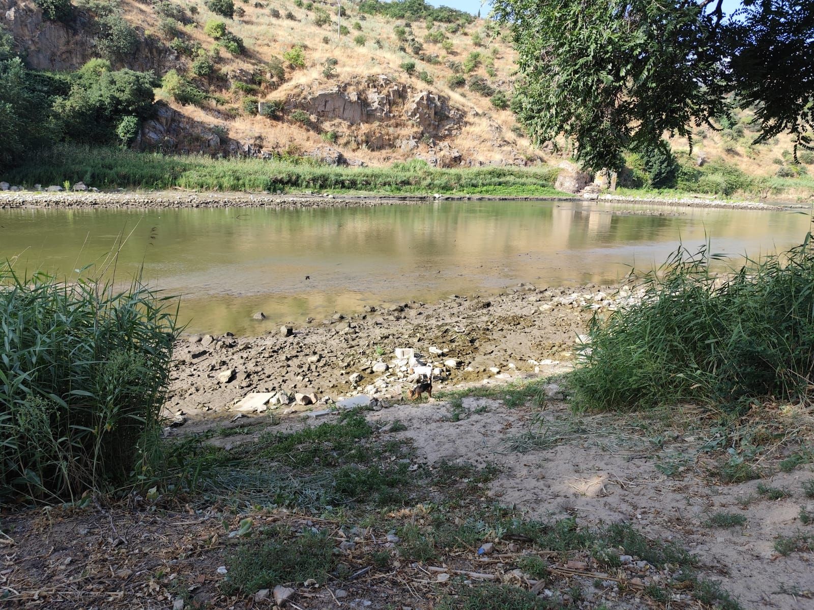 Las imágenes de la espectacular bajada del caudal del Tajo a su paso por Toledo