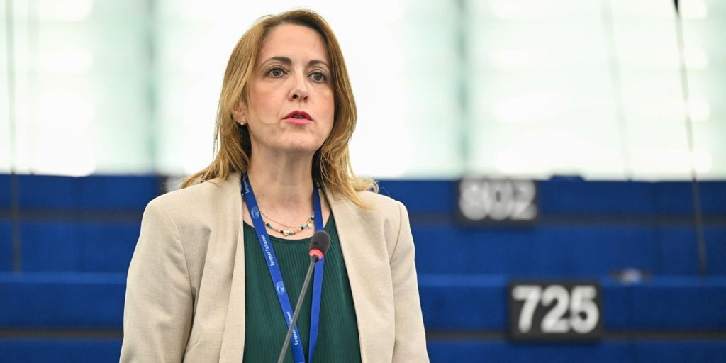 Maestre (PSE) rechaza que PAC condicione fondos a objetivos y confía en que Hansen aplaque el «recorte» de Von der Leyen