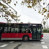 Las dos nuevas líneas de autobús de la EMT que conectarán el centro y el sur de Valencia