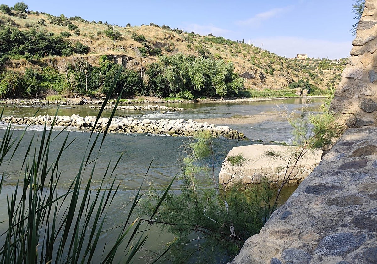 El río Tajo odía cruzarse de orilla a orilla casi sin tocar el agua