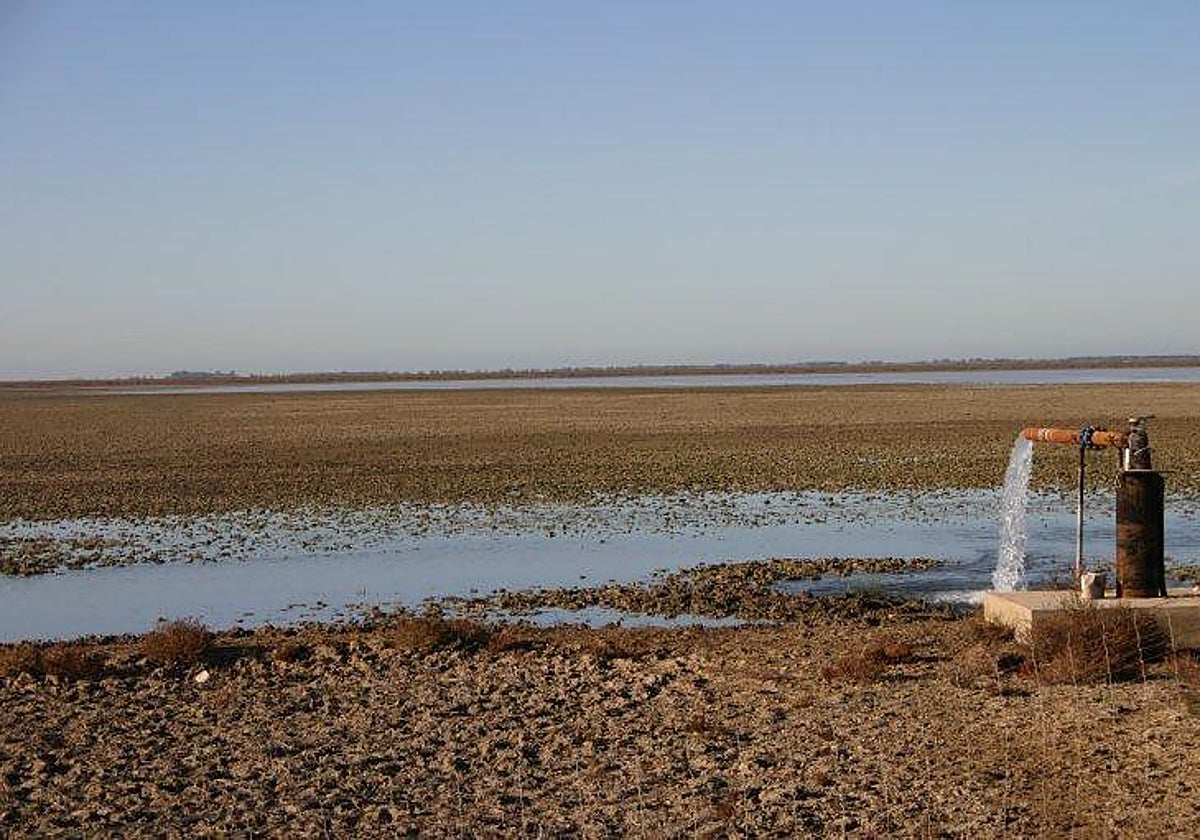 Doñana en una imagen del pasado mes de abril