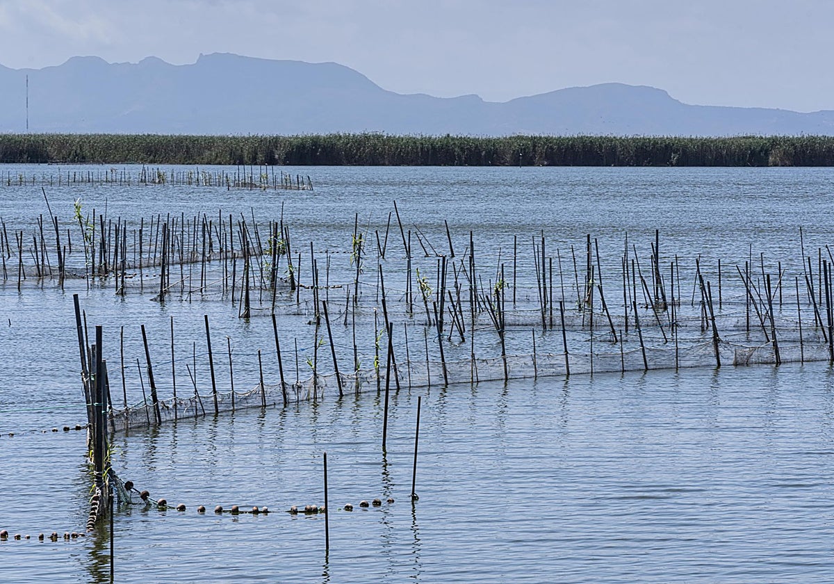 Imagen de archivo de la Albufera de Valencia