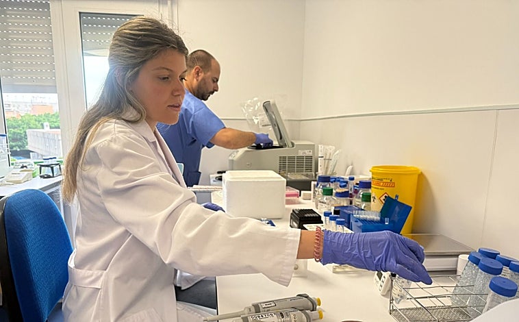 Imagen principal - El nuevo plan andaluz de Salud mantiene a raya al Virus del Nilo