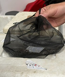 Imagen secundaria 2 - El nuevo plan andaluz de Salud mantiene a raya al Virus del Nilo