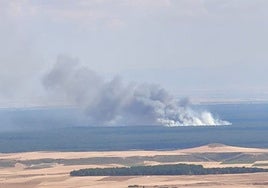 Controlado el incendio que afecta a una zona de pinares en  Cuéllar (Segovia)
