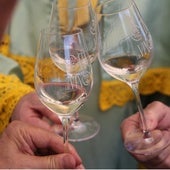 Copas de fino Montilla-Moriles en la última cata celebrada en Córdoba