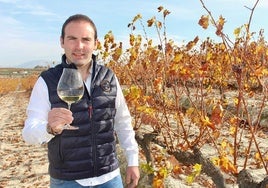 Antonio López , gerente de bodegas El Monte: «Vamos a perder el 90% de la cosecha prevista este año»