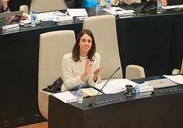 Rita Maestre se coge la baja por maternidad y prevé reincorporarse en enero 2026