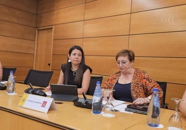 El TC admite a trámite el recurso de Page contra el decreto de reparto de menores migrantes no acompañados