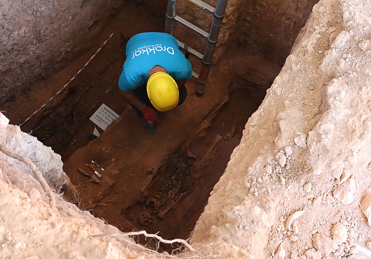 La cuarta fase de exhumaciones en el cementerio de Manzanares se centra la recuperación de los restos de ocho fosas comunes