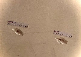 Ejecutado en su portal del centro de Barcelona: «Lo vi en el suelo, con mucha sangre y llamé a Emergencias»