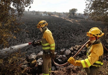 Un bombero intoxicado en un incendio forestal, ya controlado, en Castillejo de Martín Viejo (Salamanca)