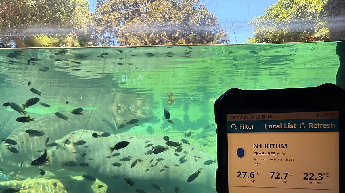 Medición de temperaturas y sensación térmica en Bioparc Valencia