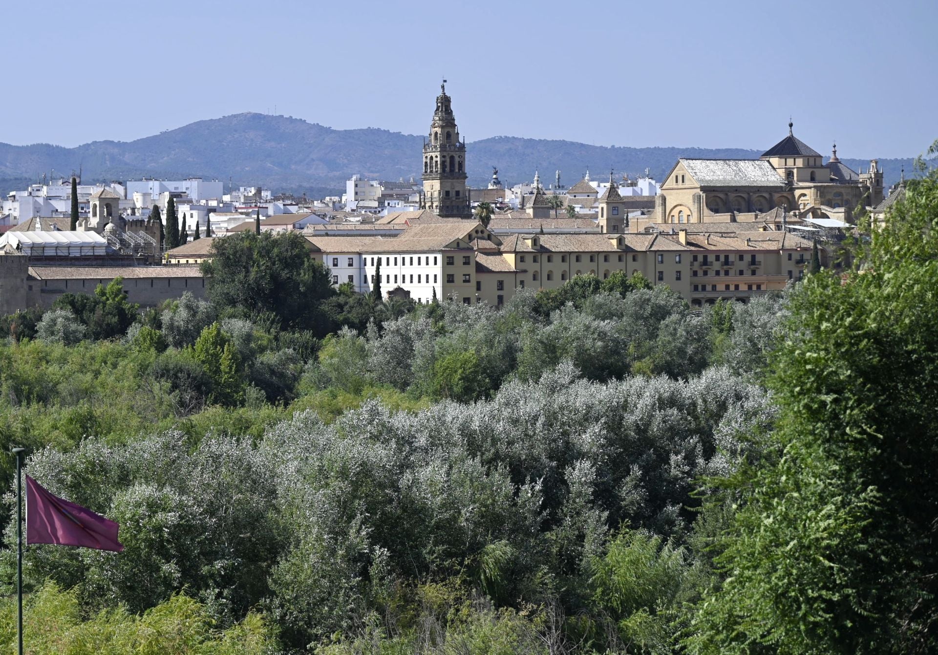La vegetación en el Guadalquivir a su paso por Córdoba, en imágenes