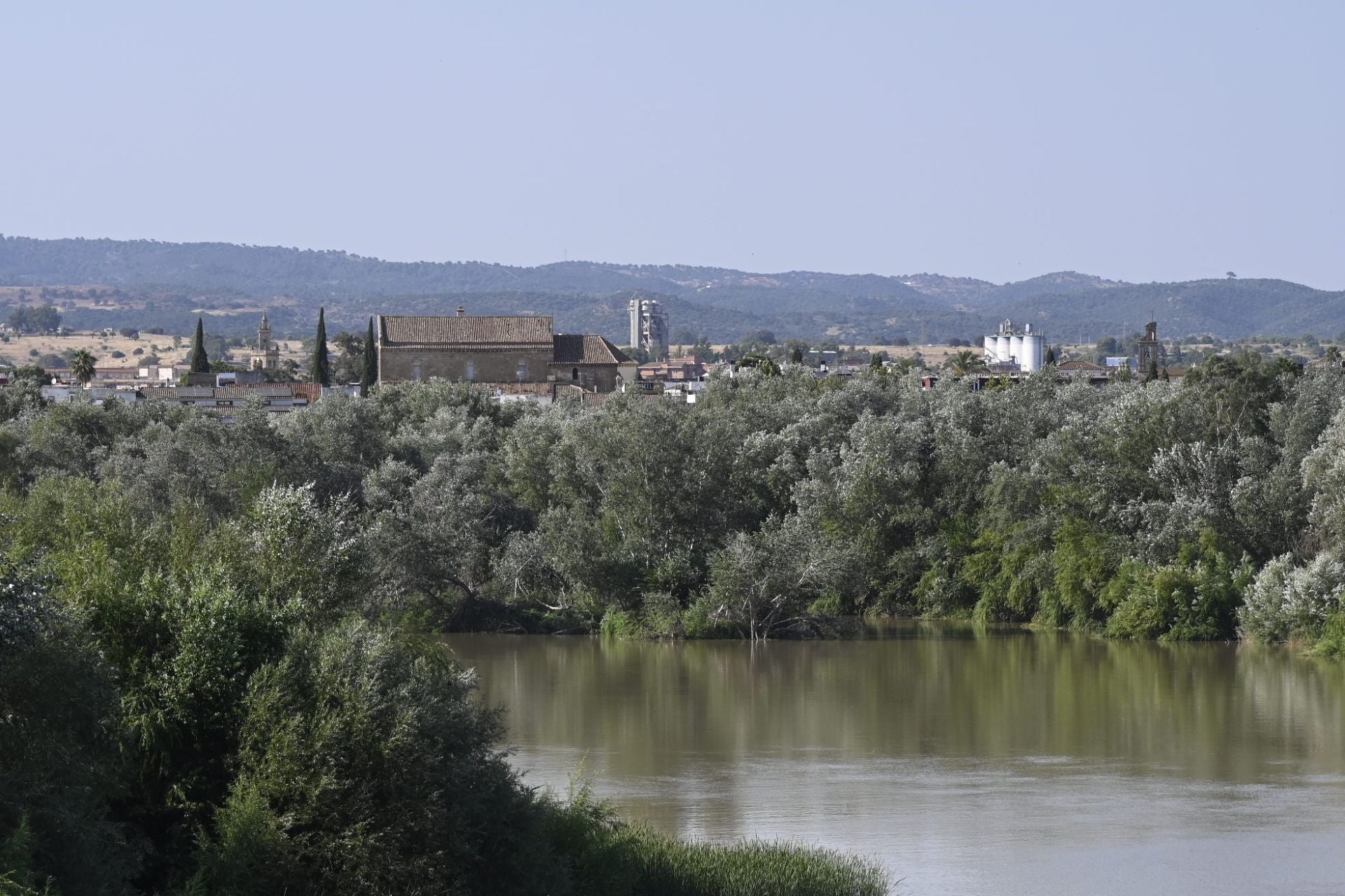 La vegetación en el Guadalquivir a su paso por Córdoba, en imágenes