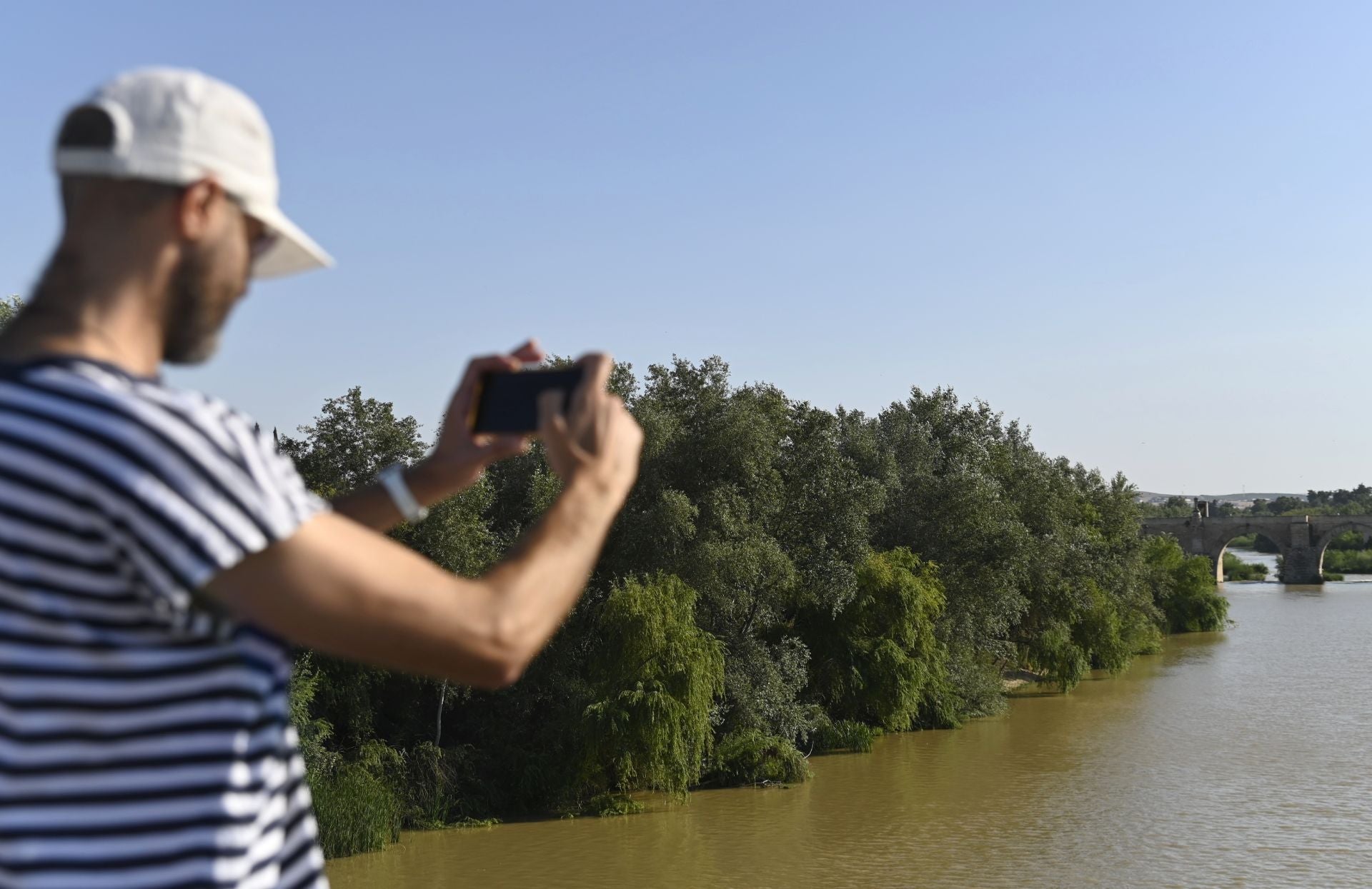 La vegetación en el Guadalquivir a su paso por Córdoba, en imágenes