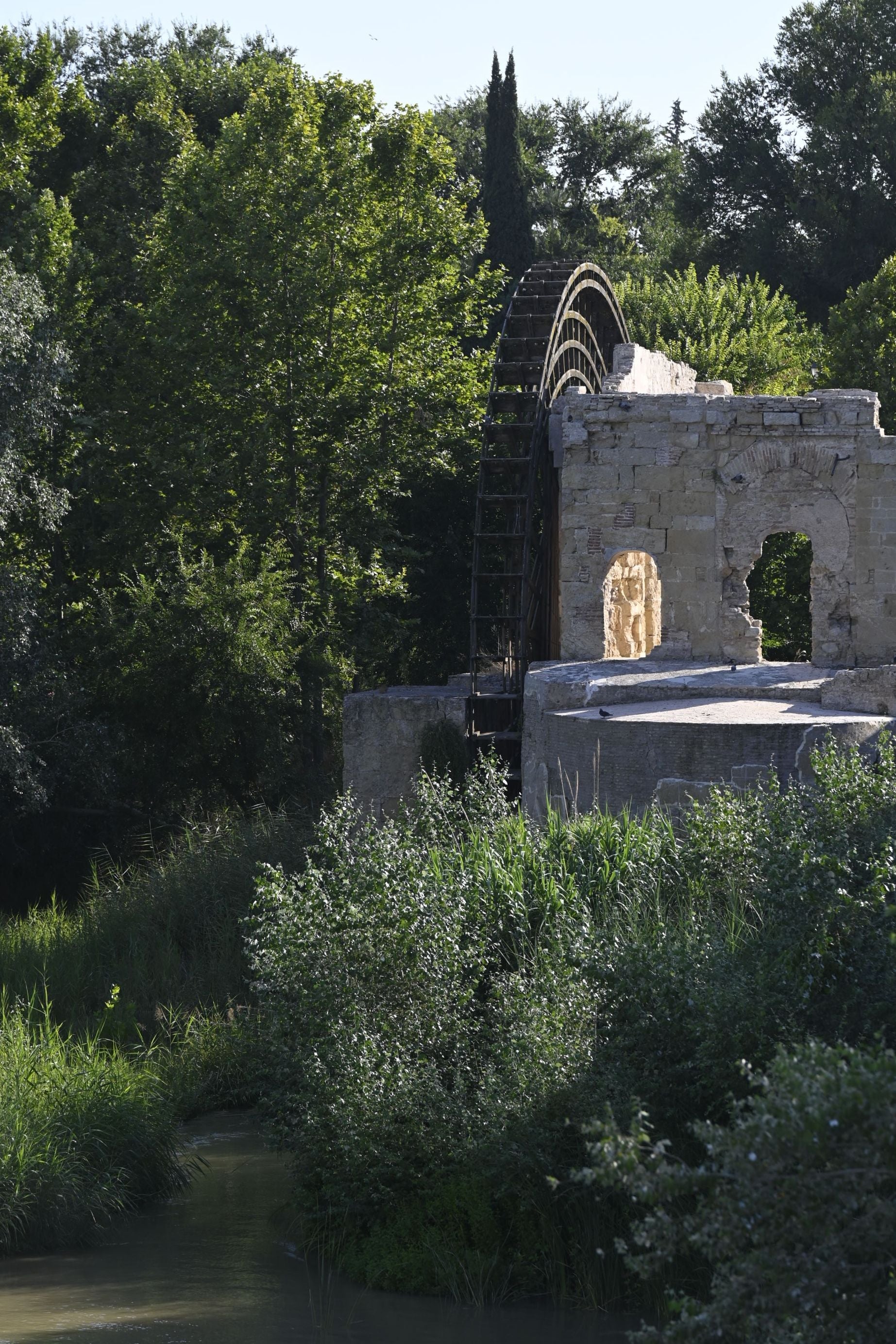 La vegetación en el Guadalquivir a su paso por Córdoba, en imágenes
