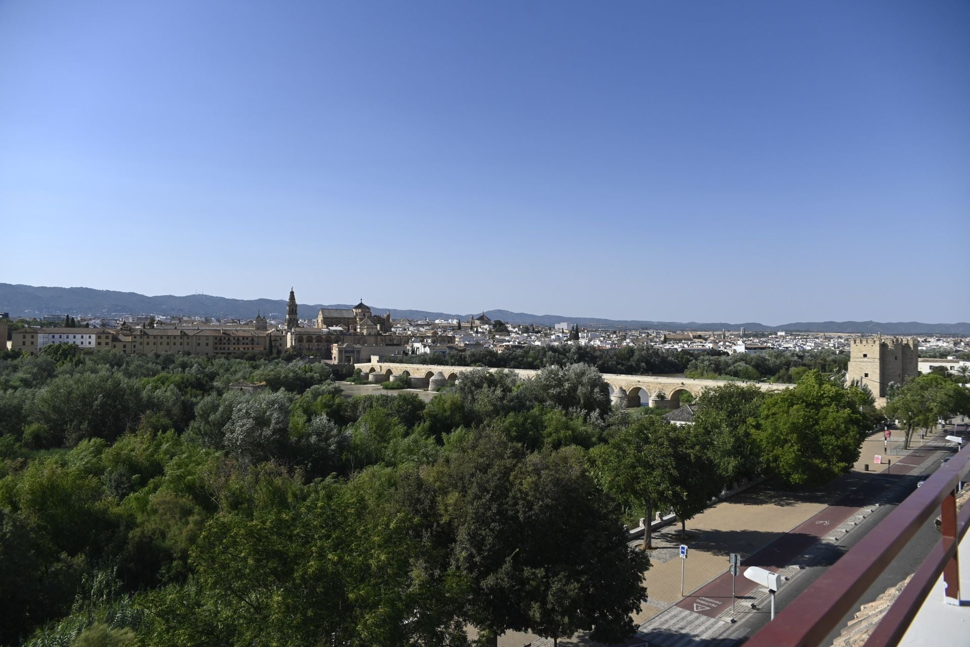 La vegetación en el Guadalquivir a su paso por Córdoba, en imágenes