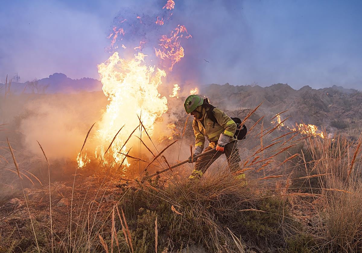 Foto de archivo: un miembro de las brigadas forestales del Infoca, en plenas tareas de extinción de un incendio