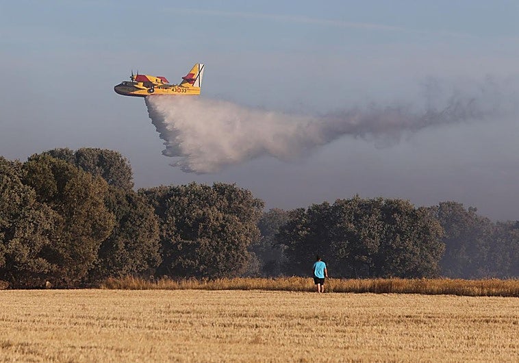 El incendio de Paredes de Monte alcanza el Monte El Viejo