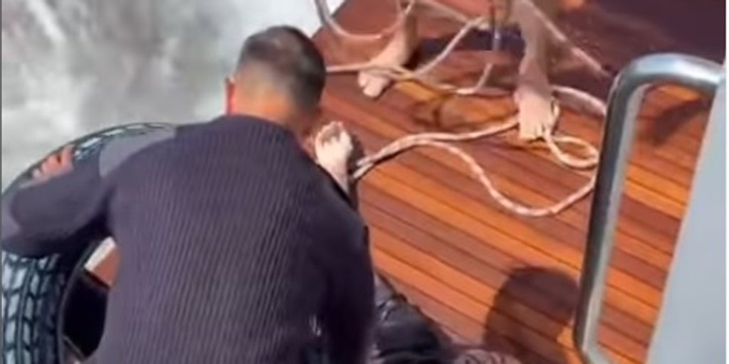 Rescatado en alta mar un joven que cruzaba el Estrecho con un flotador para niños y unas aletas