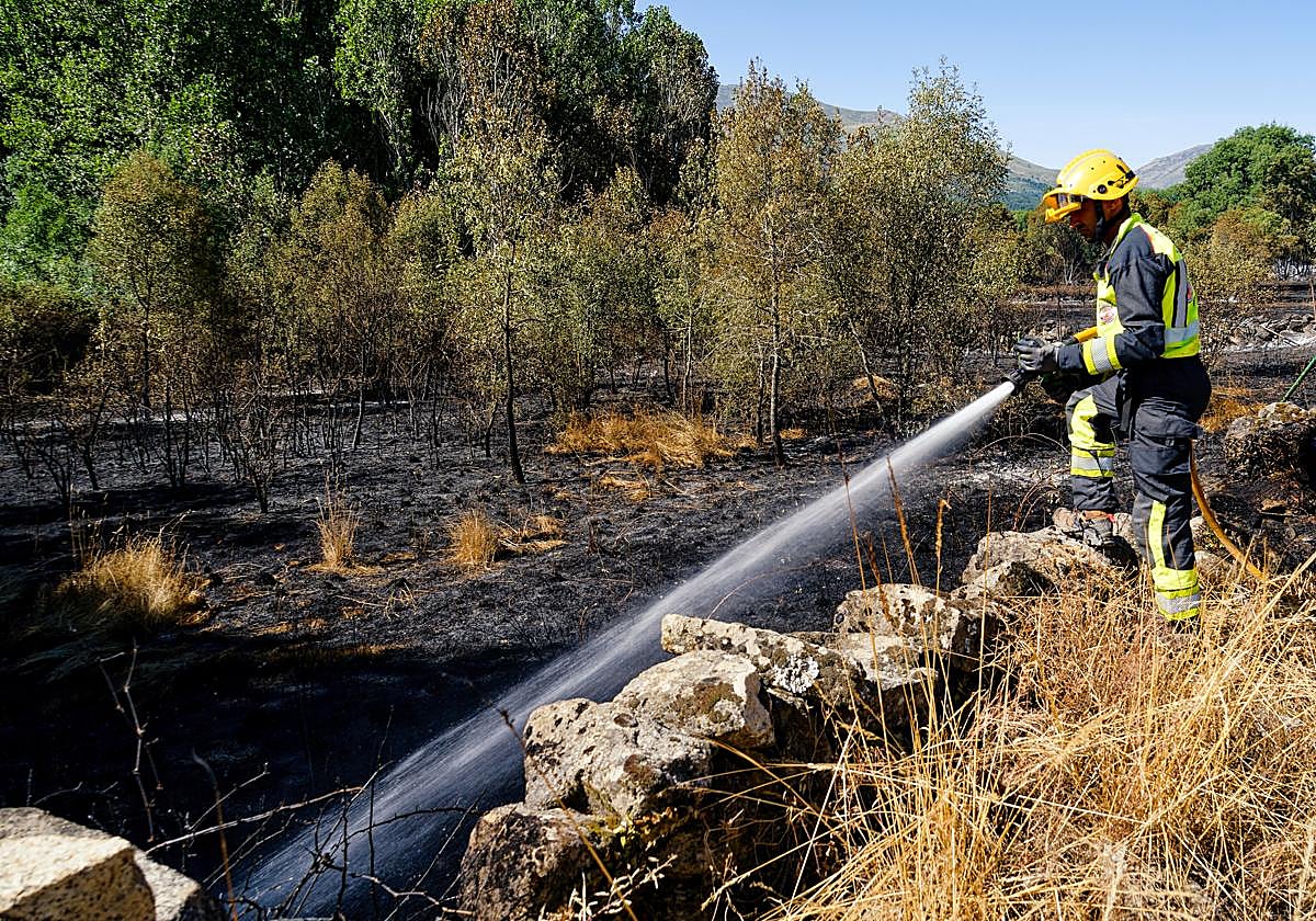 Bomberos trabajando en el incendio de Navaluenga