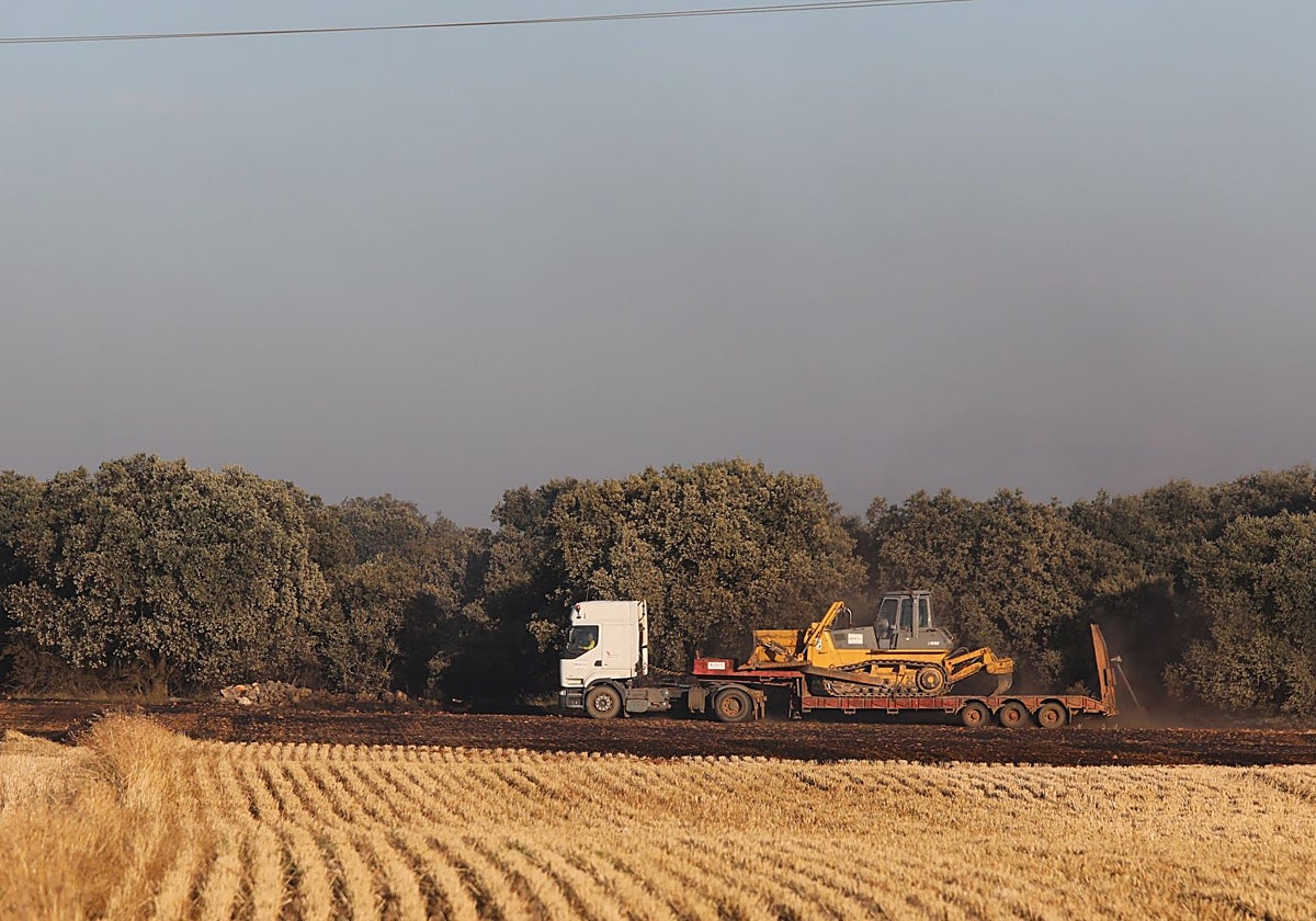 Estado en el que quedó una de las áreas afectadas por el incendio de Paredes de Monte