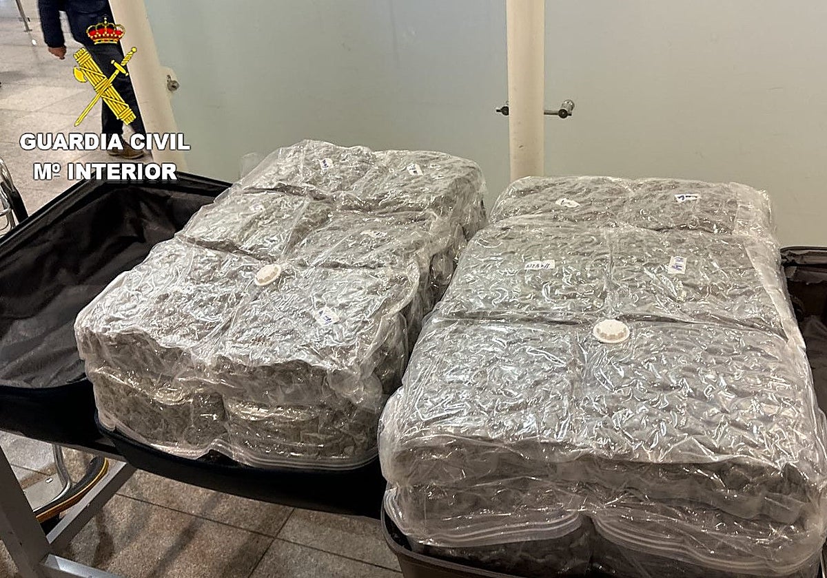 Marihuana procedente de Tailandia, decomisada en el aeropuerto de Barcelona