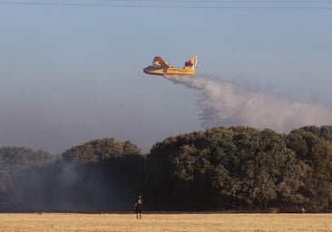 Estabilizado el incendio de Paredes del Monte (Palencia) tras quemar unas 400 hectáreas