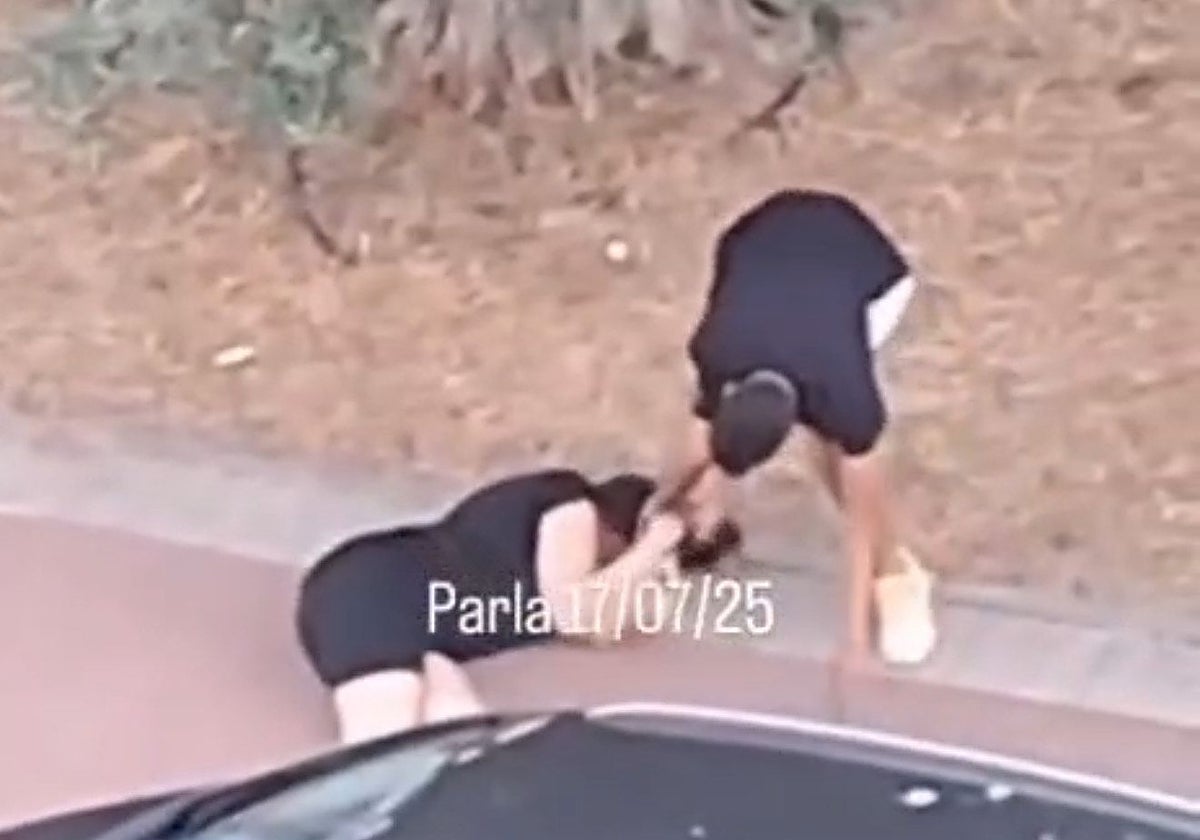 Salvaje atraco con paliza a patadas contra una mujer a plena luz del día en Parla