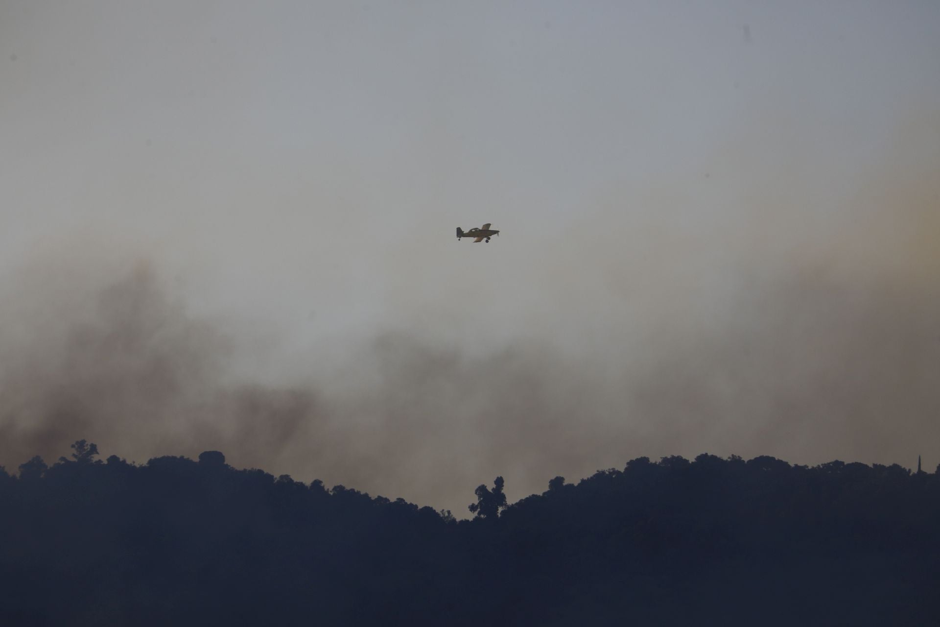 El incendio en la zona del Castillo de la Albaida en Córdoba, en imágenes