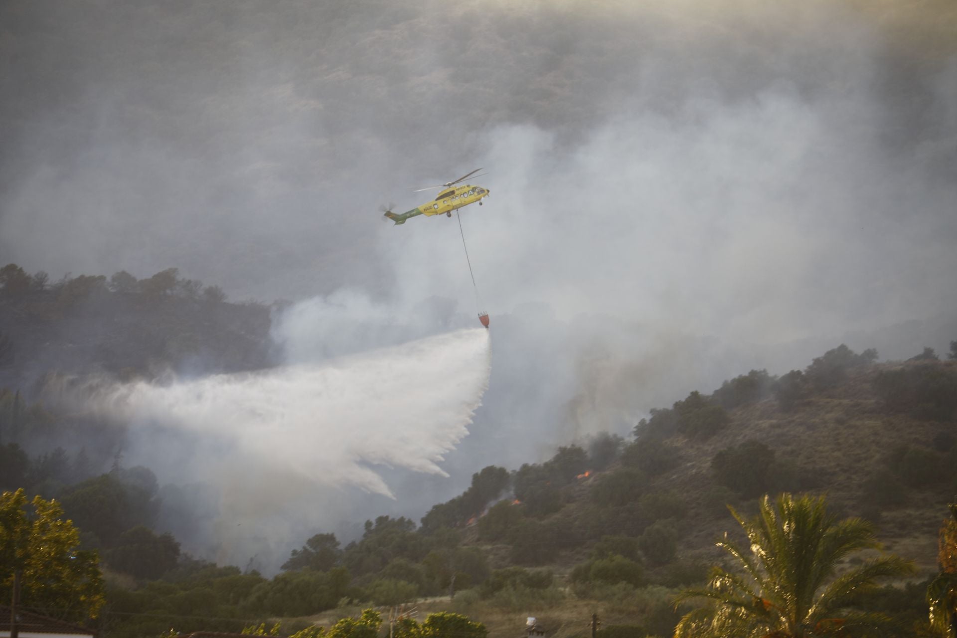 El incendio en la zona del Castillo de la Albaida en Córdoba, en imágenes