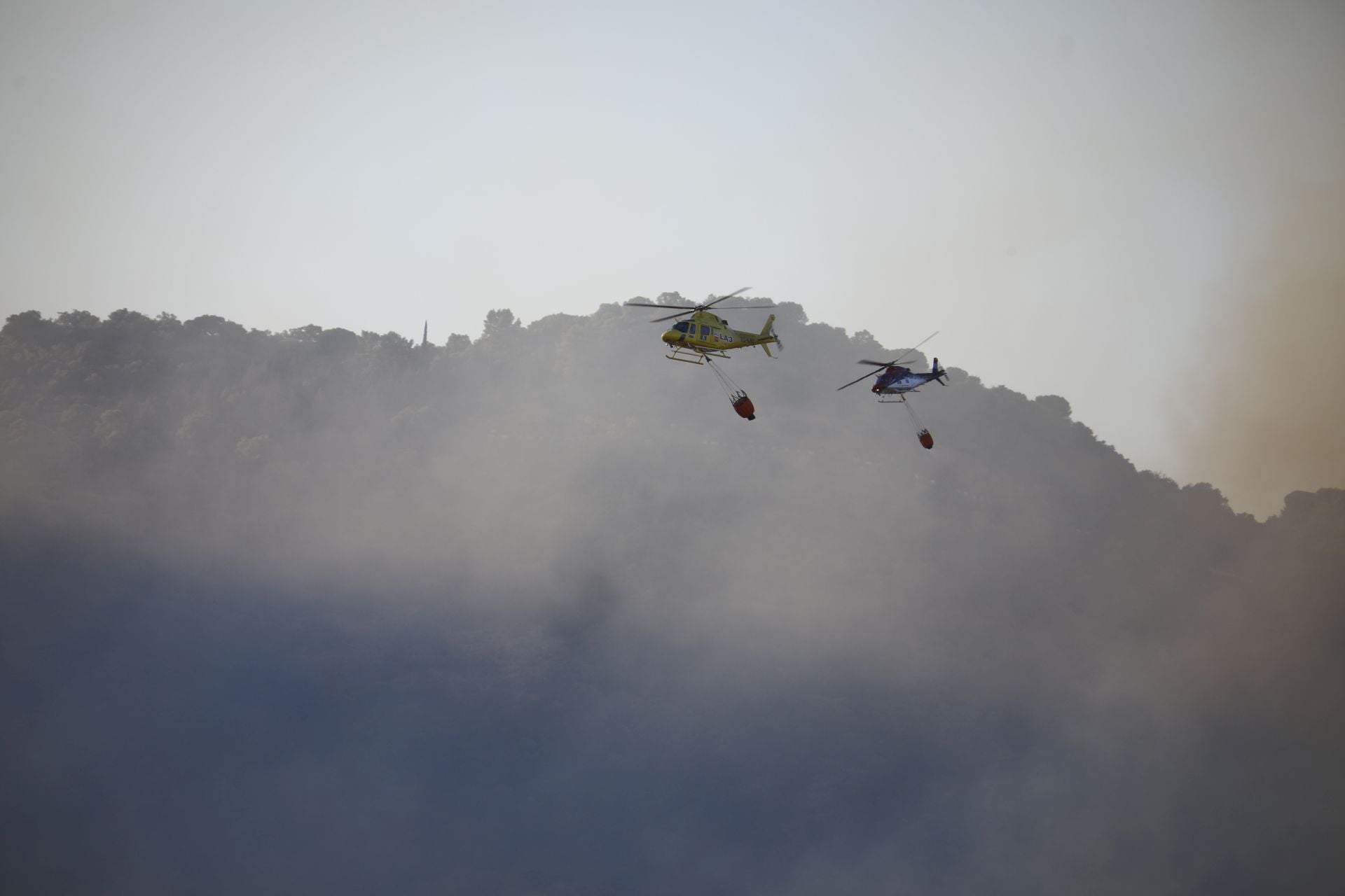 El incendio en la zona del Castillo de la Albaida en Córdoba, en imágenes