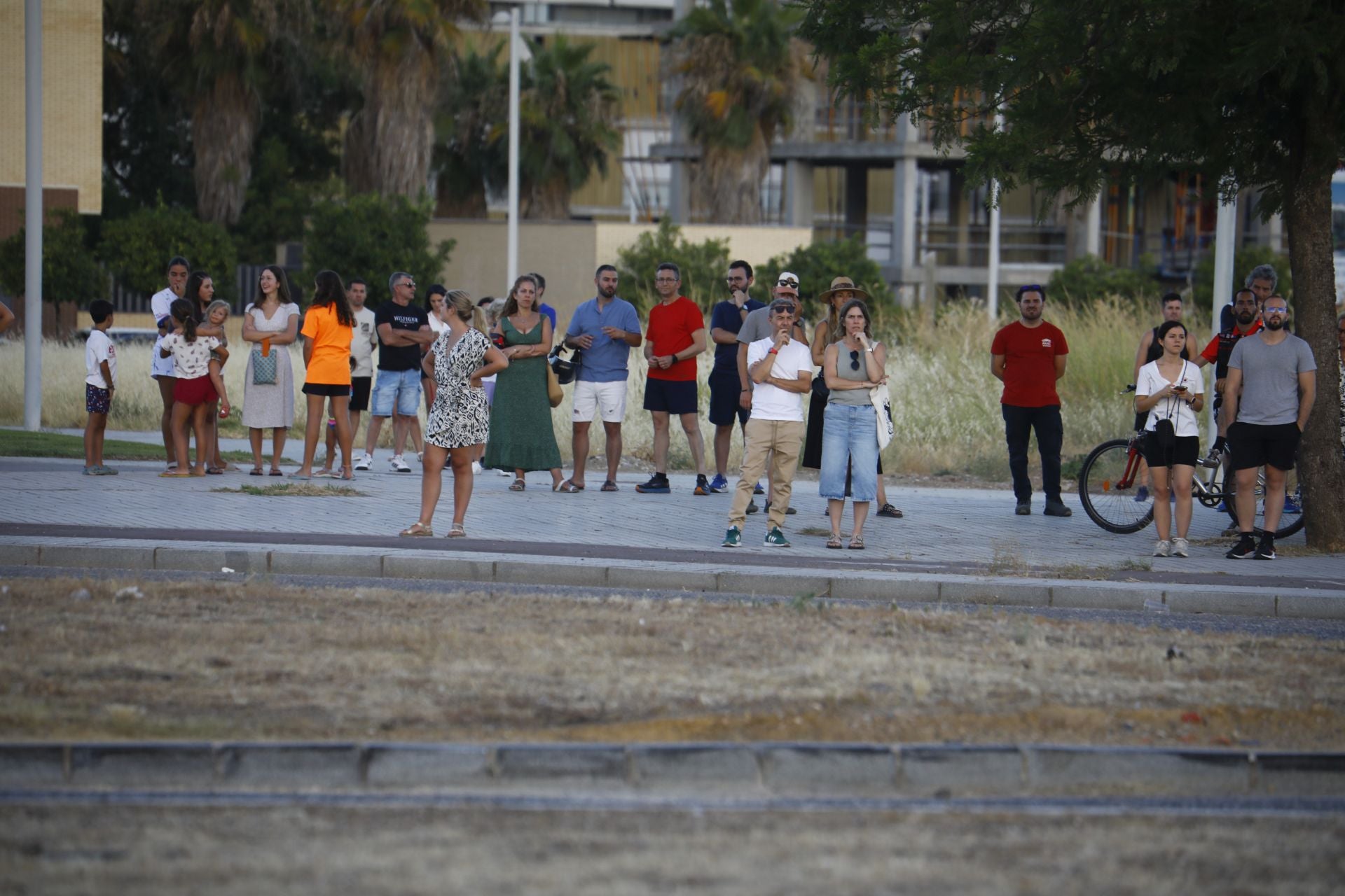 El incendio en la zona del Castillo de la Albaida en Córdoba, en imágenes