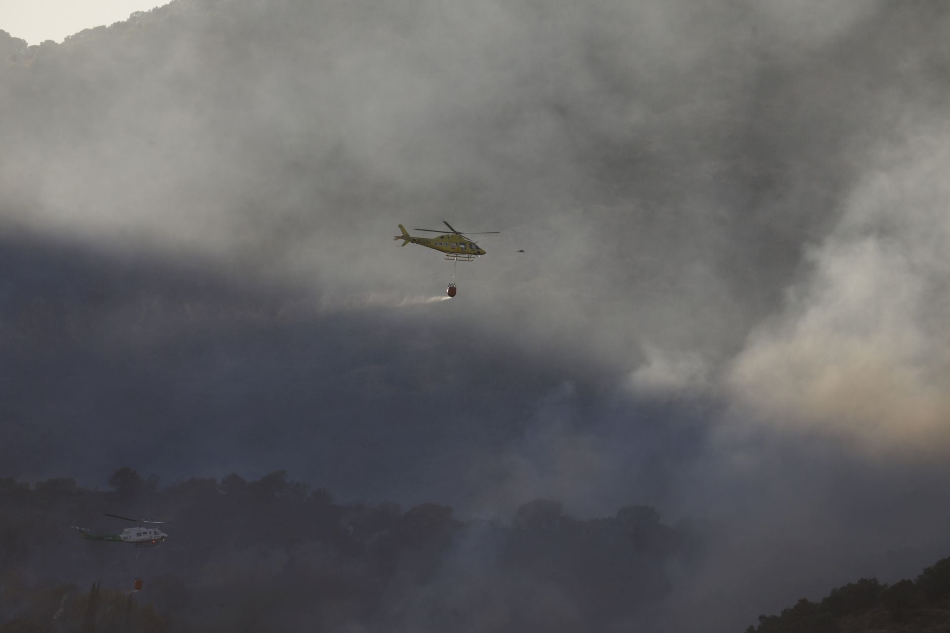El incendio en la zona del Castillo de la Albaida en Córdoba, en imágenes