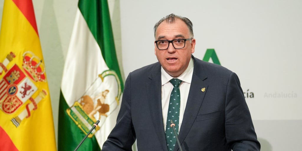 La Junta lamenta «la confusión e inseguridad jurídica» generada por el Registro Único para las viviendas turísticas