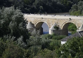 Vox denuncia el abandono del río Guadalquivir en Córdoba y pide «una limpieza periódica» de la ribera