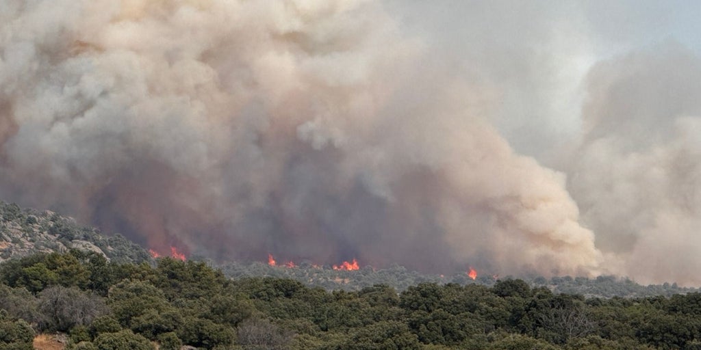 Medios aéreos y terrestres trabajan en un incendio con índice de gravedad 1 en Ferreras (León)