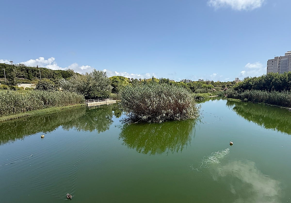Imagen del parque inundable La Marjal en Alicante