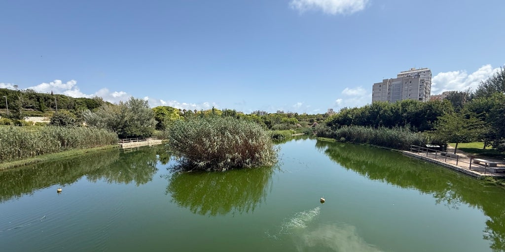 Hidraqua celebra el décimo aniversario del parque inundable: la Marjal como referente internacional anti-inundaciones