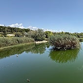 Hidraqua celebra el décimo aniversario del parque inundable: la Marjal como referente internacional anti-inundaciones