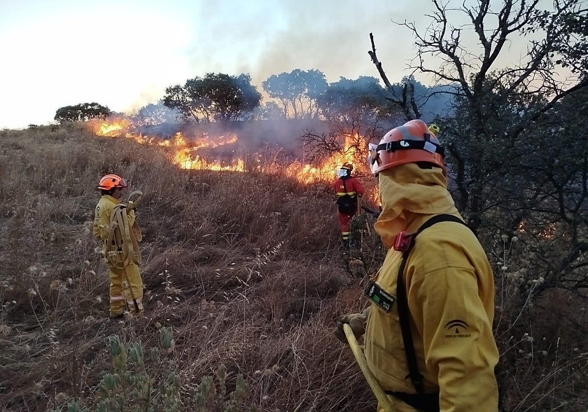 Los voluntarios de Siete Fincas ayudan en la extinción del fuego