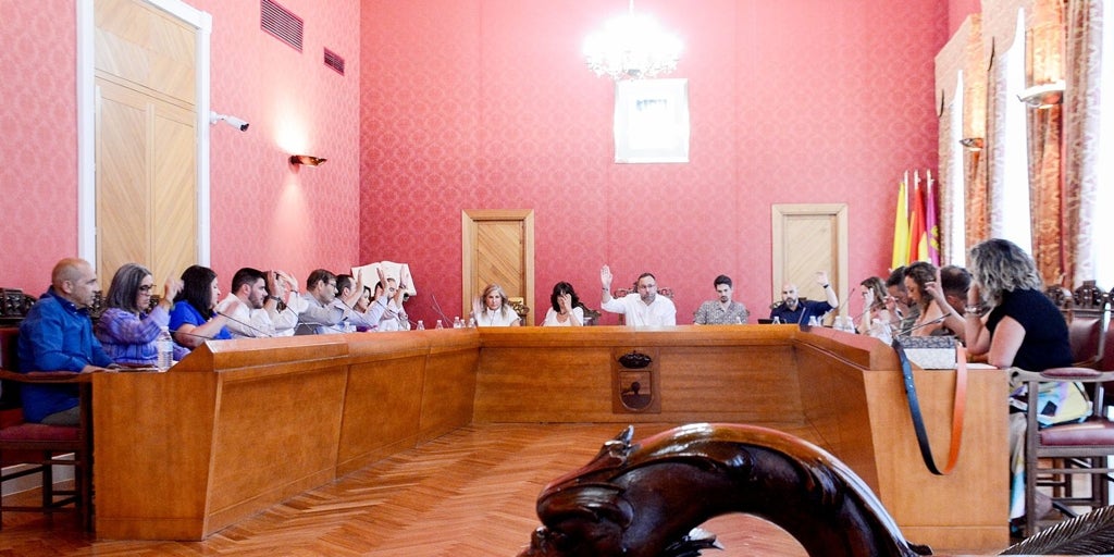 El Pleno de Tomelloso aprueba por unanimidad apoyo a medidas para el control de la población de conejos