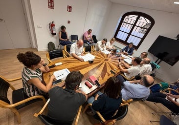 IU logra que la nueva ordenanza para la zanja única de Toledo se publique en lectura fácil