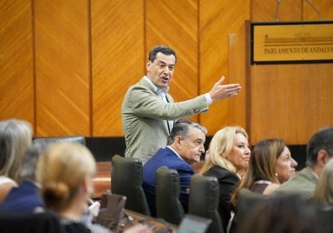 Juanma Moreno, tras la dimisión de la diputada del PP Noelia Núñez: «Mi currículum está en la web de la Junta de Andalucía desde hace diez años»