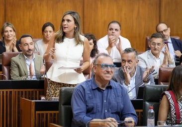 El PSOE presentará una iniciativa para evitar que los parlamentarios andaluces «engorden falsamente» sus currículum