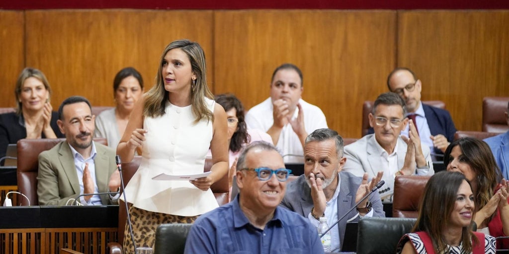 El PSOE presentará una iniciativa para evitar que los parlamentarios andaluces «engorden falsamente» sus currículum